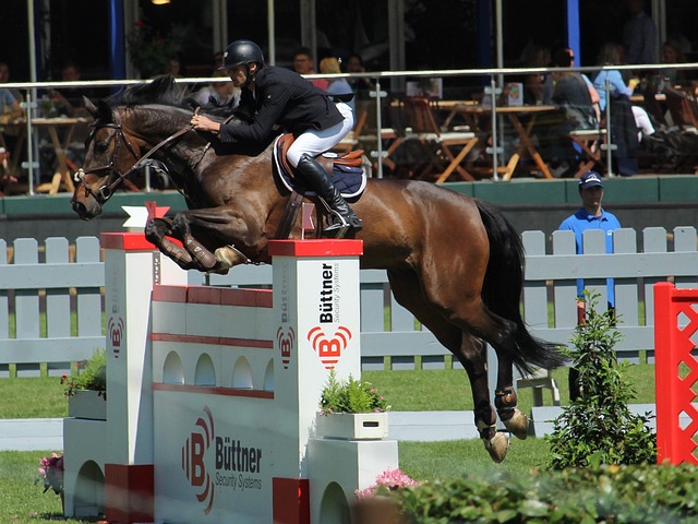 三首发齐发 三首发齐发